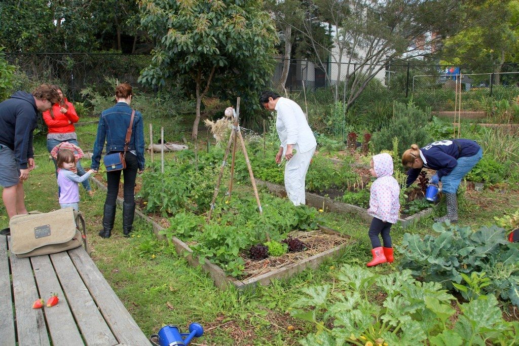 Community Gardens Help Everyone